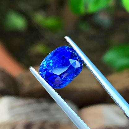 Genuine Unheated Cornflower Blue Sapphire - 3.51 carats - Cushion Shape - AIGS Certified - 8.50 x 7.02 mm